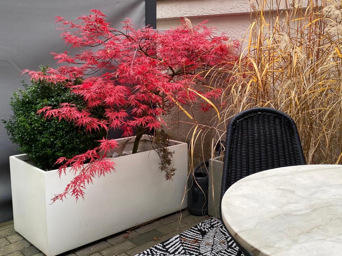 Como Design-Apartment Close To Isar River Area - Centrally Located Μόναχο Εξωτερικό φωτογραφία